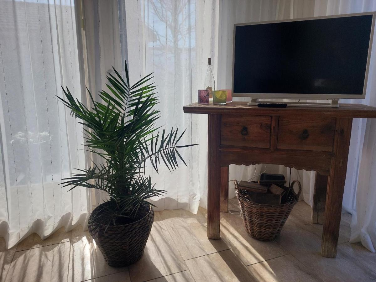 Cosy Petten, Family Only المظهر الخارجي الصورة